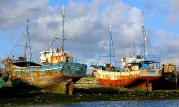 11818 | Vieux Bateaux - Vieux bateaux rouillés dans le port de Camaret