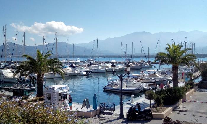 Puzzle Port de plaisance Calvi