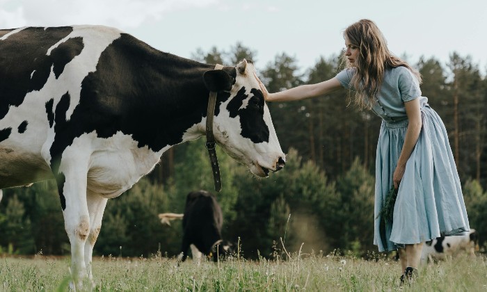 Puzzle La belle et la bête