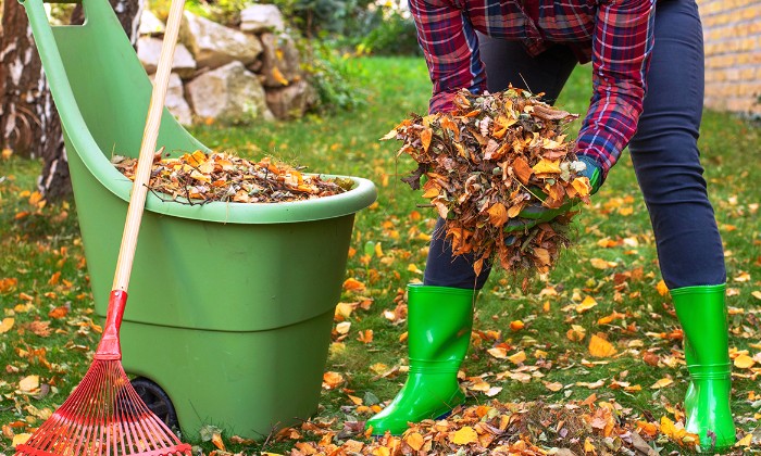 Puzzle ramassage des feuilles