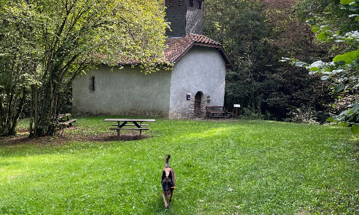 Puzzle promenade de sultan