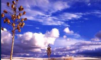 332 | Ciel du désert - Ciel nuageux désertique