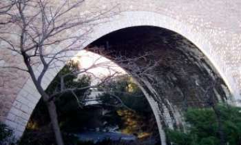 629 | Sous le Pont - Magie séculaire des arches et voûtes...