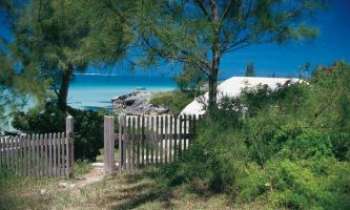 1010 | Jardin - Bermudes - Un jardin privé aux Bermudes...l'Océan en plus...