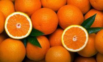 987 | Jus d'orange - De quoi faire une cure de vitamine C ...pour un hiver sans rhume !!