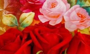 1280 | Roses de la St-Valentin - Trois roses rouges déposées sur un plateau décoré de roses roses...pour vous souhaiter à tous et à toutes une heureuse ST-VALENTIN.