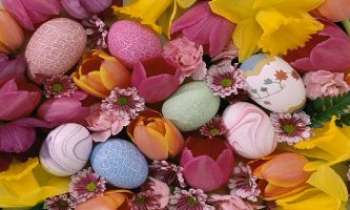1737 | Oeufs en fleurs - Oeufs de Pâques peints - Parmi les fleurs, celles du jardin ou celles du salon. Marbrés, décorés de frises, coquille d'oeuf en couleur...les préparer ou les trouver : toujours la même joie renouvelée.