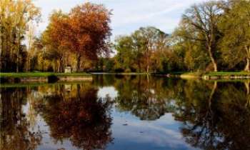 1934 | Miroir sur l'étang - Toute la richesse des couleurs de l'automne magnifiée par ce calme et lumineux reflet sur l'étang.