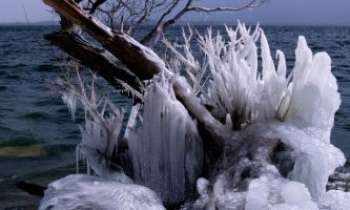2014 | Formation de glace - Surprenantes sculptures naturelles, ces formations de glace formées de milliers de gouttes d'eau.