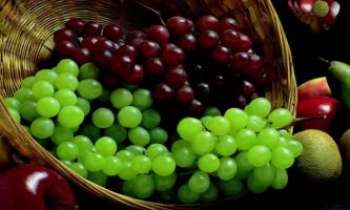 2357 | Corbeille de raisins - Le temps des cures de ces délicieux fruits de saison tout autant une gourmandise que bénéfiques à la santé pour affronter l'hiver. Ils ne sont d'ailleurs pas les seuls, ceux qui les entourent le sont tout autant.
