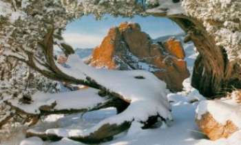 2361 | Fenêtre hivernale - Un cadre naturel pour ce paysage d'hiver enneigé qui fait déjà rêver d'une saison plus clémente, tels des cieux méditerranéens. 
