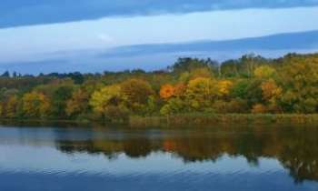 2754 | Reflet d'Automne - Puissance et douceur de la nature sur ce lac qui reflète les chaudes nuances des couleurs d'Automne dont se parent les arbres en cette saison.