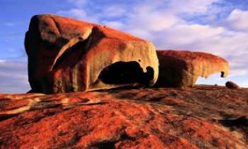 2798 | Australie - Rochers - Les étranges et magnifiques formations rocheuses du Parc National de l'île
Kangaroo en Australie. Tels des animaux préhistoriques.