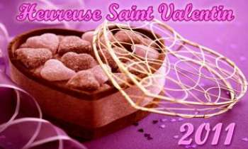 2829 | Saint Valentin 2011 - Heureuse Saint Valentin à tous les couples !