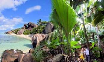 3261 | Un p'tit coin de paradis - Les Seychelles, une poignée d'îles enchanteresses. Bien que devenu un endroit très touristique, elle ont su préserver leur côté paradisiaque, comme à l'origine des temps. Les habitants sont très accueillants, et sauront vous faire partager ce petit univers quasi unique. 