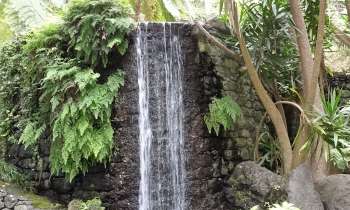 3801 | Petite chute d'eau - Jardin botanique de Funchal 