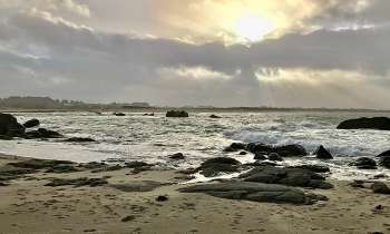 11515 | Plage de Porsmeur - Plage de Porsmeur dans le Finistère Nord.