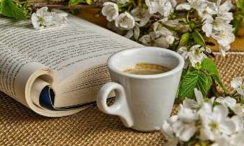 5319 | Un café et un livre - 