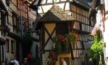 7683 | Maisons en Alsace - EGUISHEIM - ALSACE