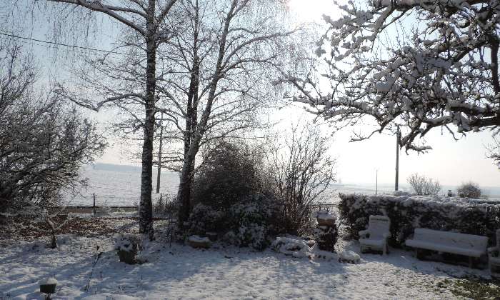 puzzle Neige au jardin, un matin lumineux de février avec la neige, en Seine et Marne