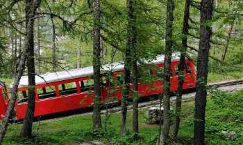 5481 | Train en forêt - 