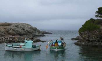10005 | La pêche - Pêcheur partant en Méditerranée, jolis bateaux !