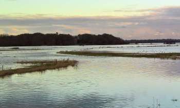 11535 | Marais du Cotentin - Les marais du Cotentin (Manche) et un parc naturel français situé en Normandie .