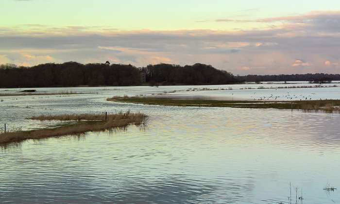 puzzle Marais du Cotentin, Les marais du Cotentin (Manche) et un parc naturel français situé en Normandie .