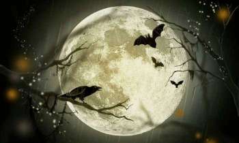 5383 | Pleine lune avant Halloween - Pleine lune avant le soir d'Halloween !