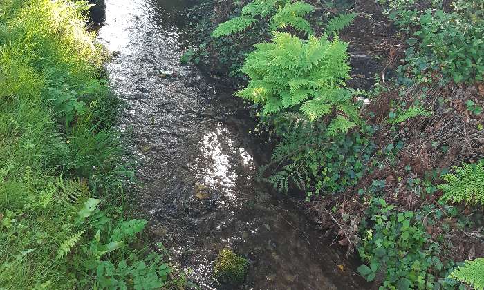 puzzle Le ruisseau, Ce petit ruisseau traverse le village de Omonville-la-Roque (Manche)