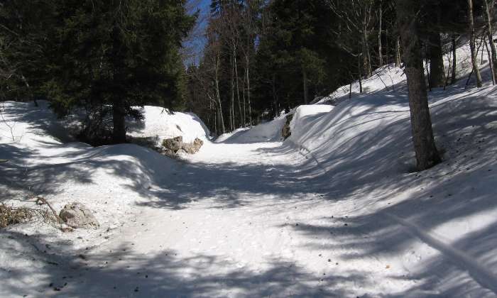 puzzle La  forêt en hiver, Piste de ski de fond dans la forêt de Gève-Autrans (Isère)