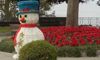 11231 | Noël à Sorrente - Un très joli parc décoré pour Noël sur les hauteurs de Sorrente