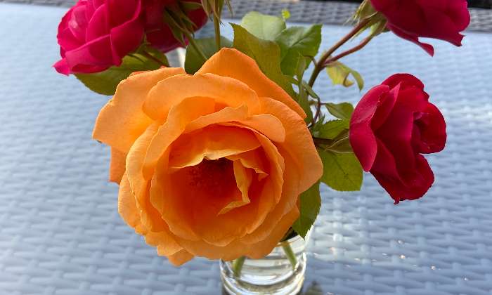 puzzle Roses, Bouquet