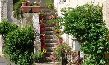 11356 | escalier fleuri - Escalier végétalisé à Angles-sur-l'Anglin