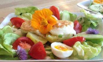 5604 | Bon appétit - Salade composée !!