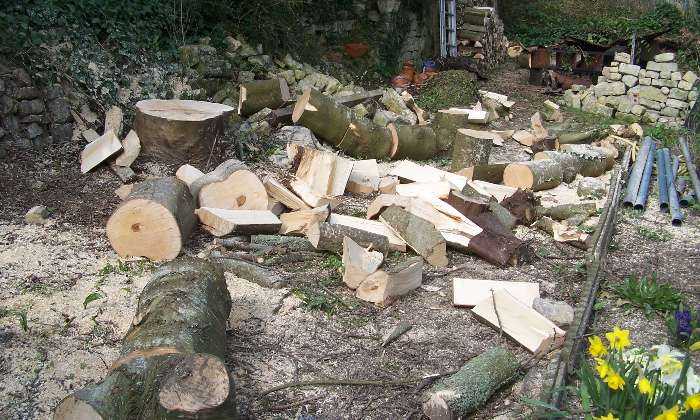 puzzle Abattage d'un arbre, Après l'abattage, le débiter et le ranger pour alimenter la cheminée !!