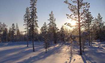 6305 | soleil couchant en Laponie - 