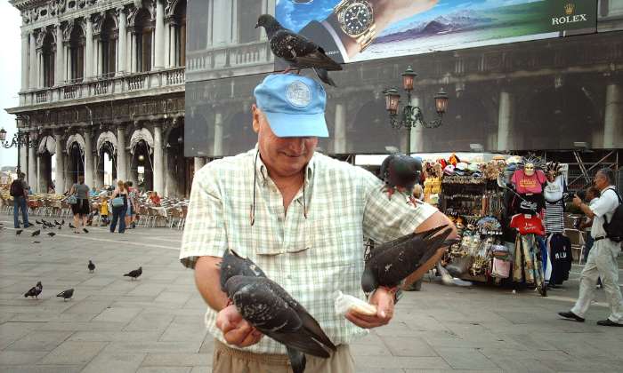 puzzle un touriste «attaqué», par des pigeons sur la Place-Saint-Marc à Venise (Italie)