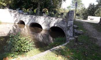6180 | Petit pont - Pont sur le Cosson, Loiret