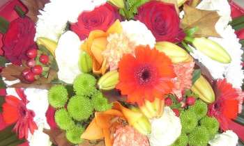 10350 | bouquet rond - bouquet multicolore