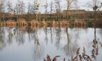 11381 | etang de la balastière - etang de la balastière dans le maine et loire