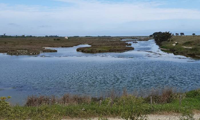 puzzle IIe de Noirmoutier, 