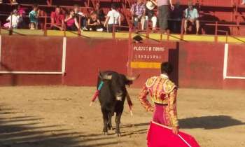 10927 | Corrida - 