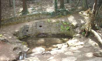 10931 | la Fontaine de Jouvence - la Fontaine de Jouvence dans la forêt de Brocéliande à Paimpont 35211