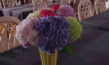 10244 | Bouquet de hortensias - 