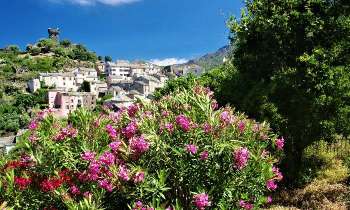 7401 | Village de Haute-Corse - 