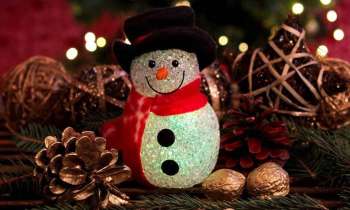 7312 | un bonhomme de neige souriant - Un Bonhomme de neige en habit de lumière et tout sourire, c'est déjà Noël...