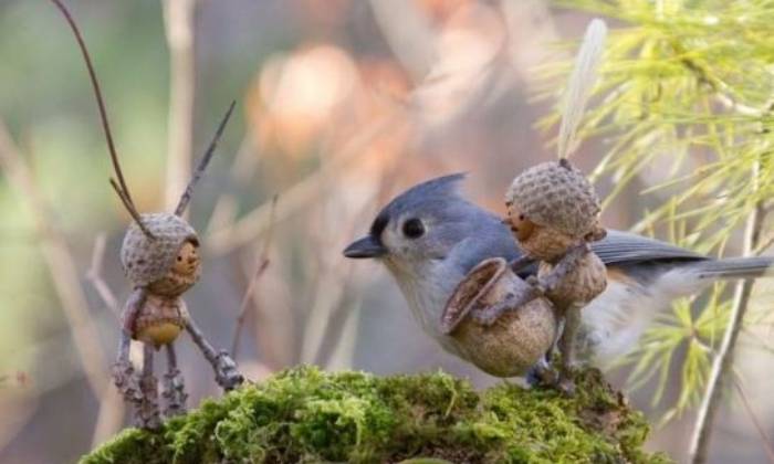 puzzle Un oiseau très intrigué, Un oiseau très intrigué par d'étranges personnages qui ont envahi son territoire