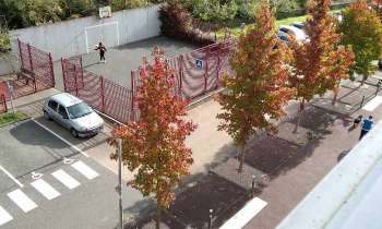 10269 | automne - ma rue en automne