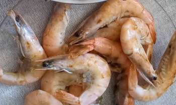 10990 | Crevettes - Assiette de crevettes